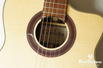 GK Studio Negra - Natural